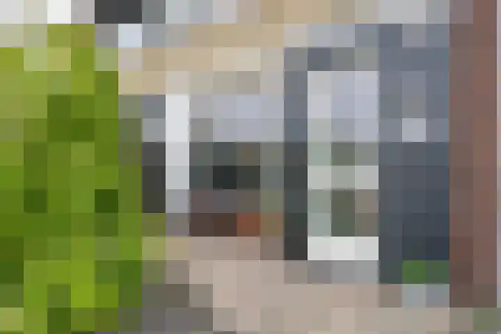 De Vlasakker 44 Bedum thumbnail 7