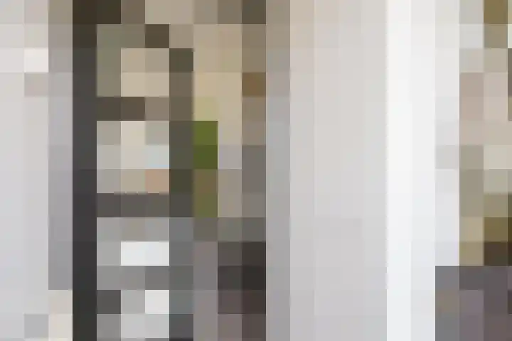 De Vlasakker 44 Bedum thumbnail 8
