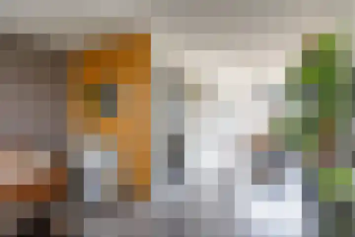 De Vlasakker 44 Bedum thumbnail 9