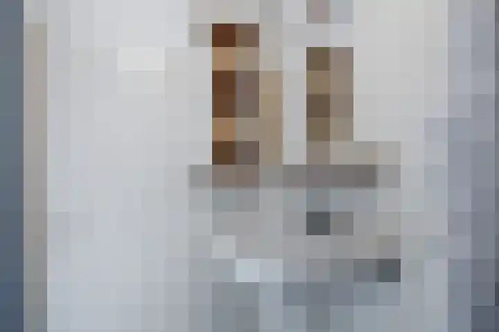 De Vlasakker 6 Bedum thumbnail 31
