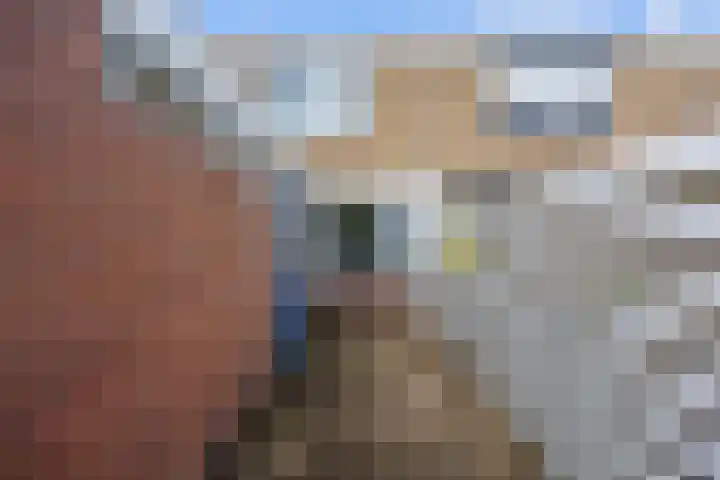 De Vlasakker 6 Bedum thumbnail 34