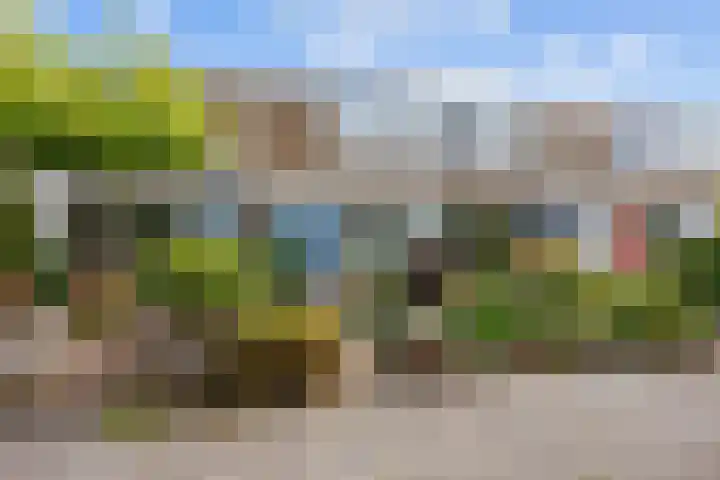 De Vlasakker 6 Bedum thumbnail 4