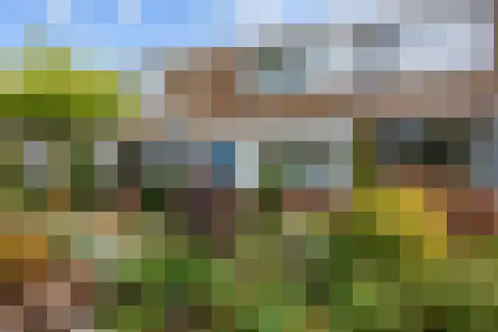 De Vlasakker 6 Bedum thumbnail 5