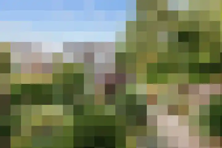 De Vlasakker 6 Bedum thumbnail 6