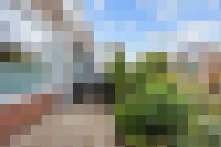 De Vlasakker 6 Bedum thumbnail 7