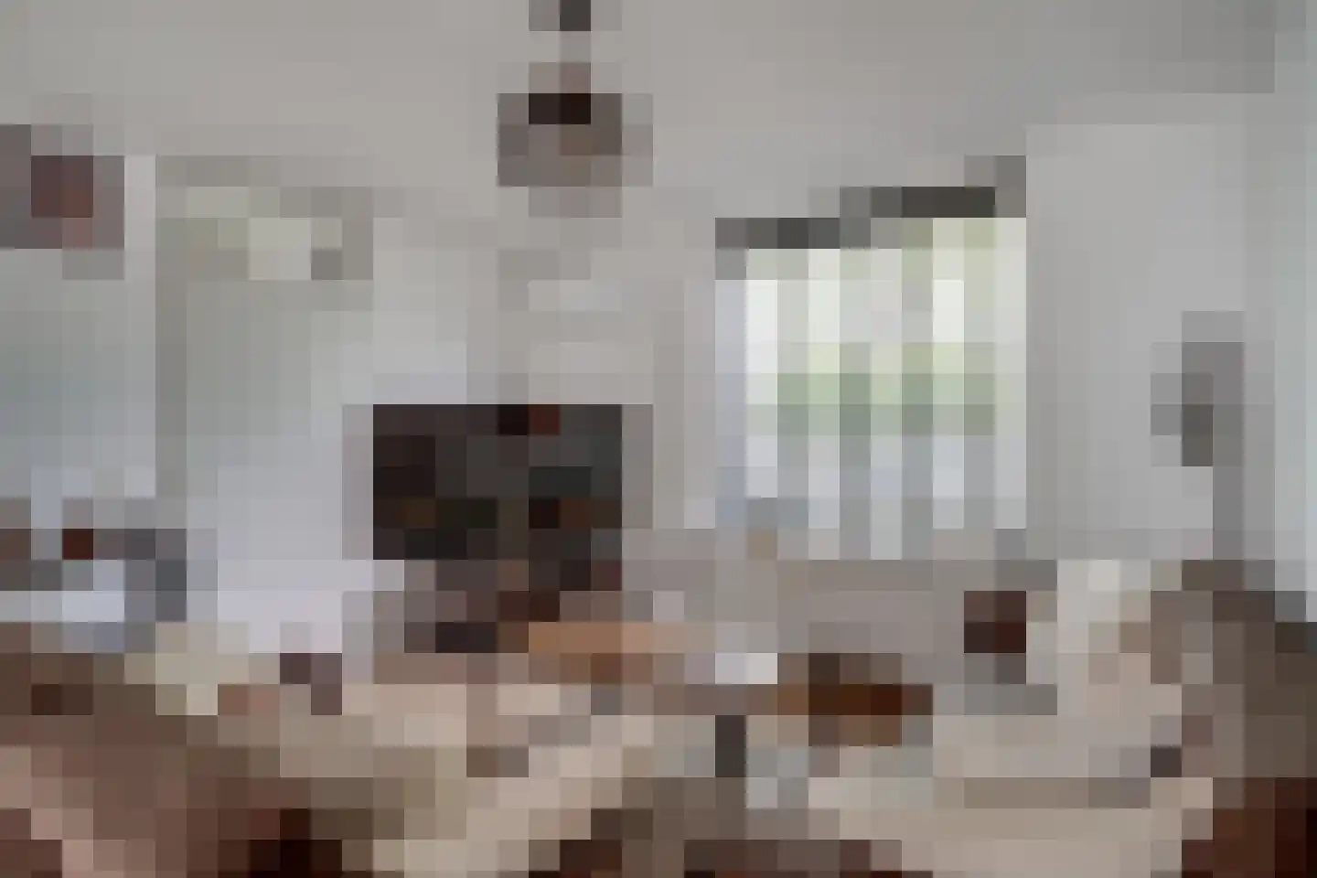De Vlasakkers 10 Oss thumbnail 16