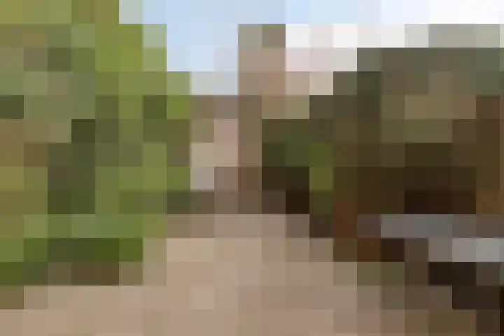 De Vlaschaard 21 Amstelveen thumbnail 23