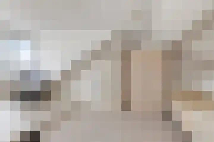 De Vlaschaard 21 Amstelveen thumbnail 4
