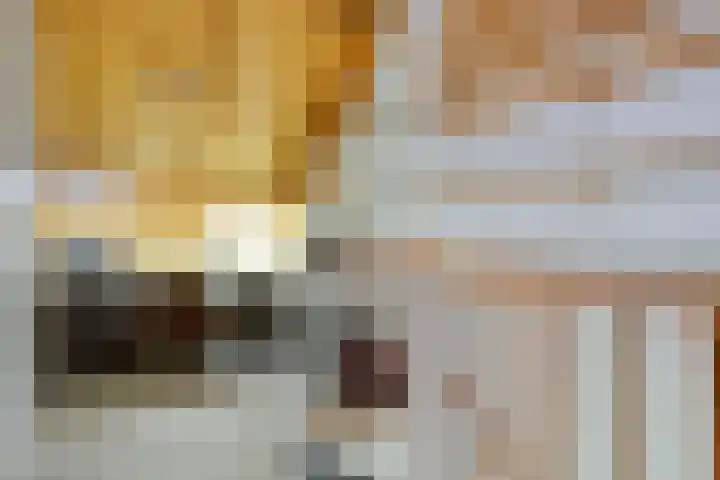 de Vlashegge 28 Dieren thumbnail 17