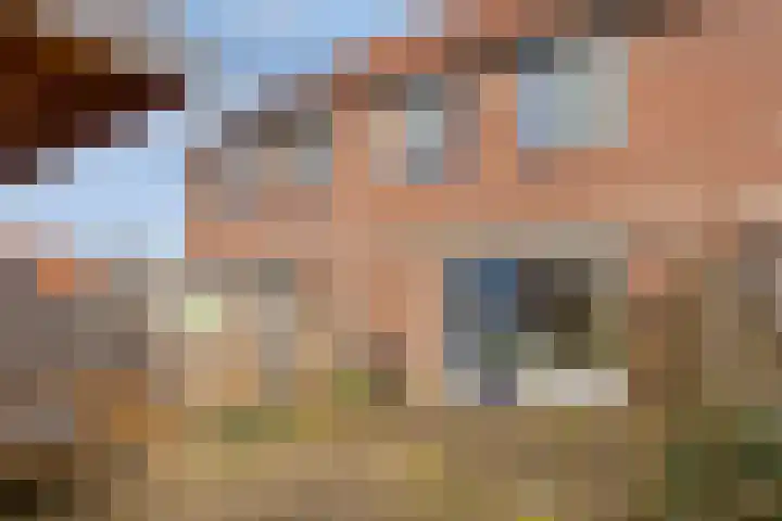de Vlashegge 28 Dieren thumbnail 19