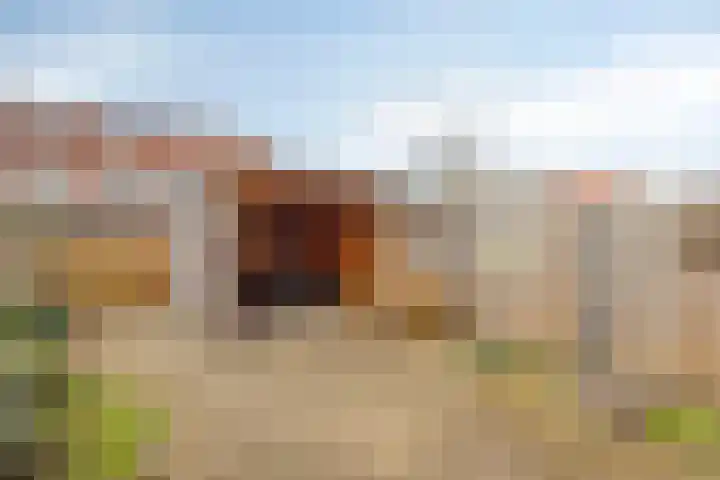 de Vlashegge 28 Dieren thumbnail 20