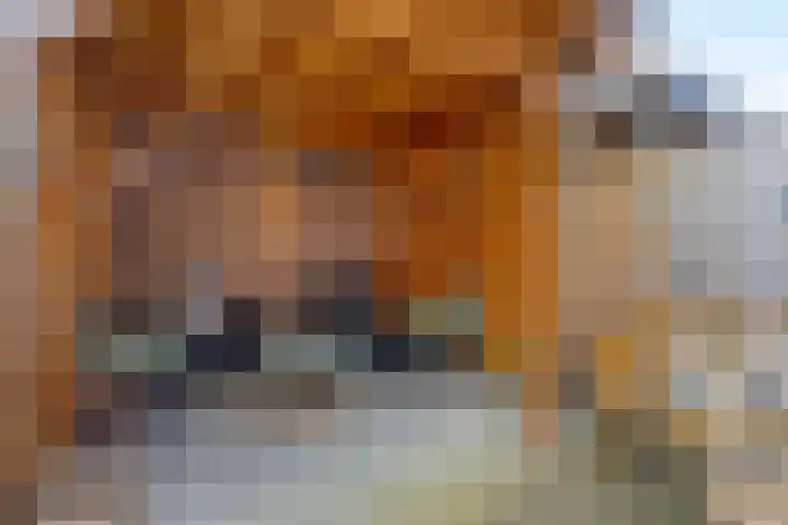 de Vlashegge 28 Dieren thumbnail 21