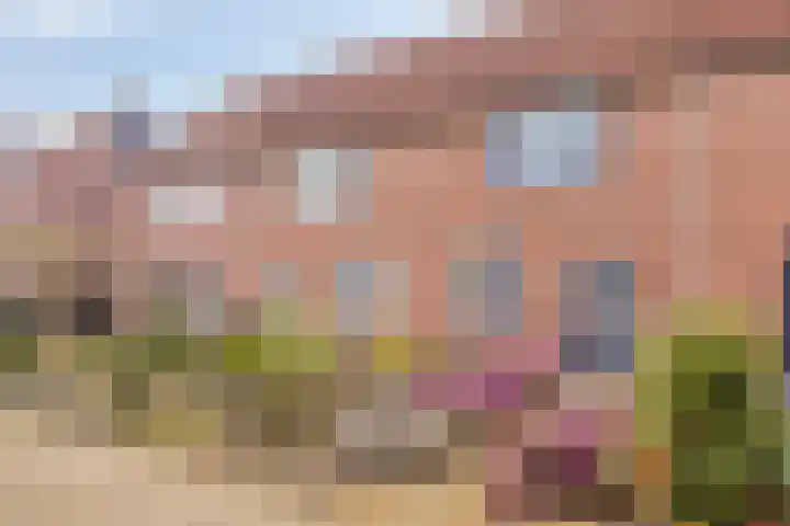 de Vlashegge 28 Dieren thumbnail 22