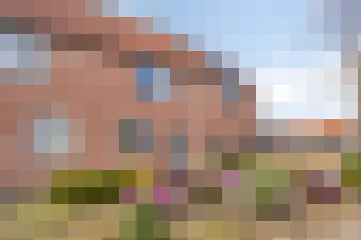 de Vlashegge 28 Dieren thumbnail 23