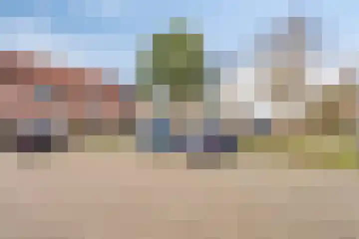 de Vlashegge 28 Dieren thumbnail 24