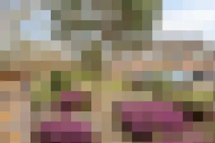 de Vlashegge 28 Dieren thumbnail 25