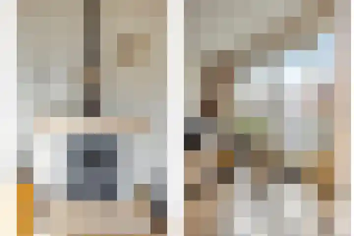 de Vlashegge 28 Dieren thumbnail 6