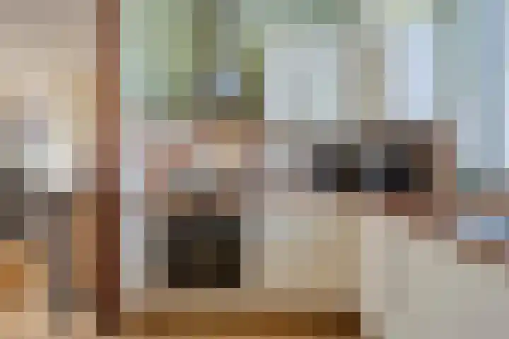 de Vlashegge 28 Dieren thumbnail 8