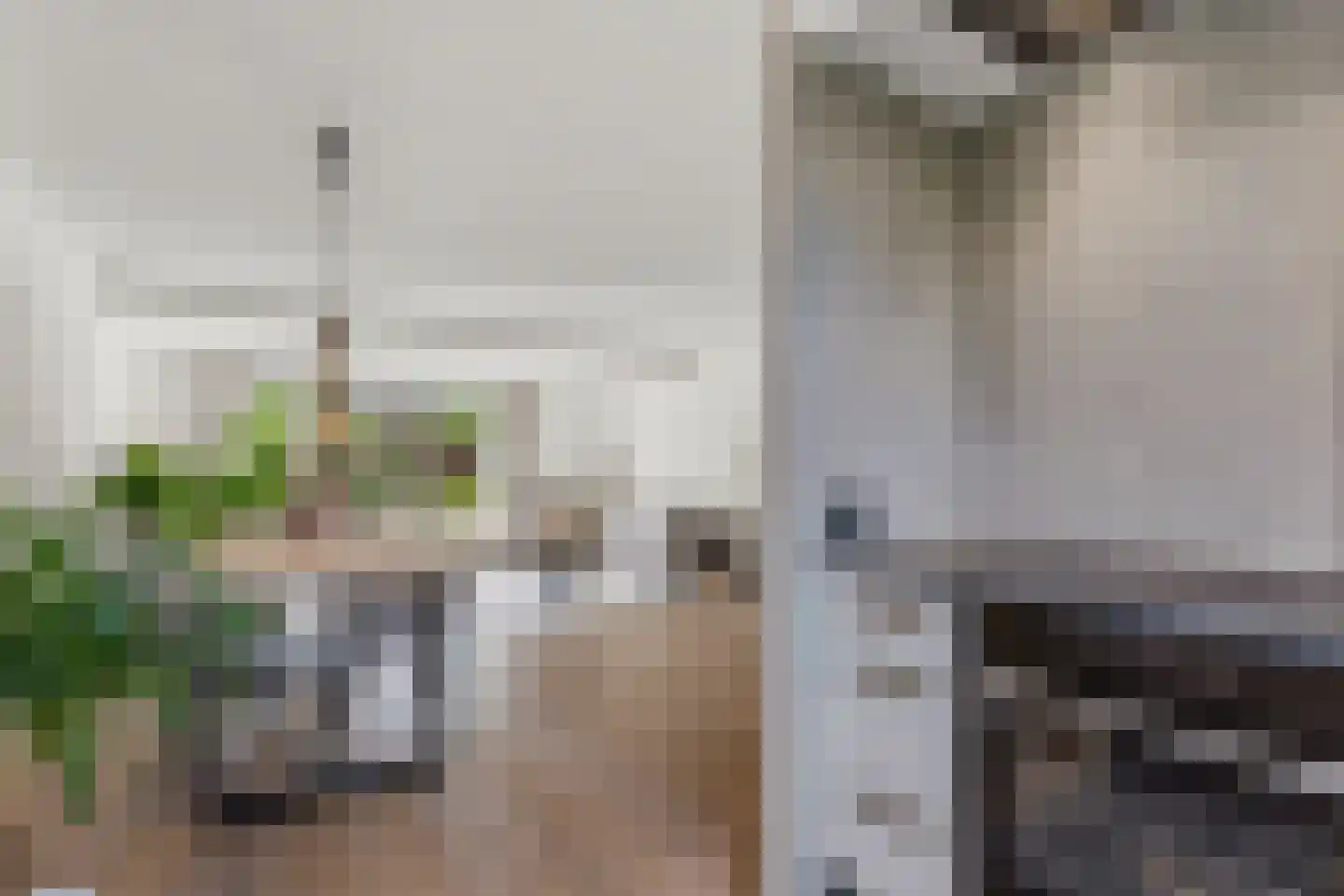 de Vlashegge 36 Dieren thumbnail 12