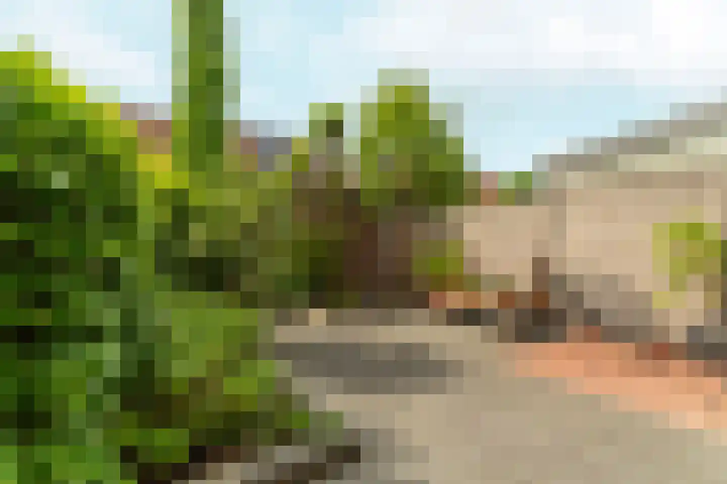 de Vlashegge 36 Dieren thumbnail 30