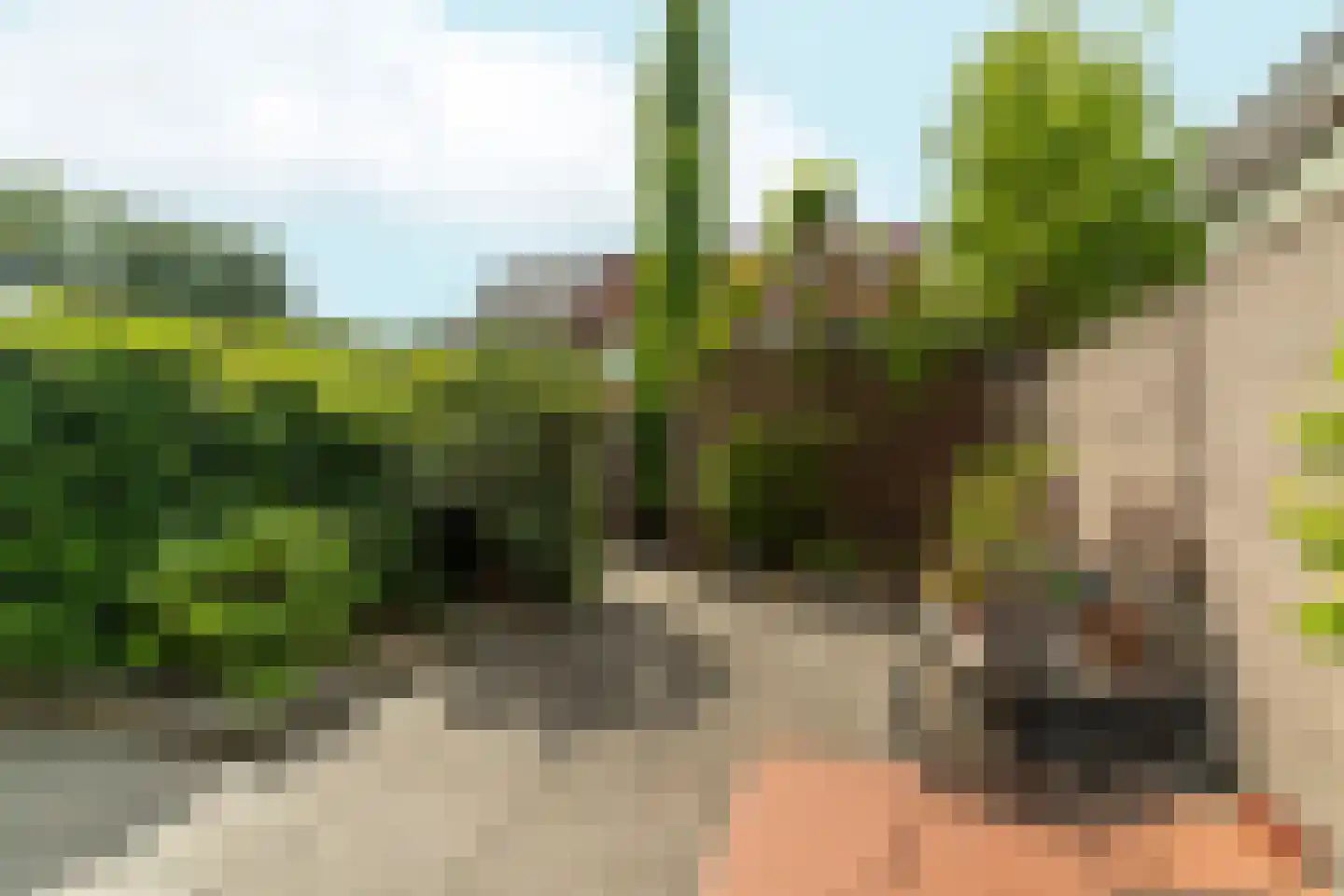 de Vlashegge 36 Dieren thumbnail 31