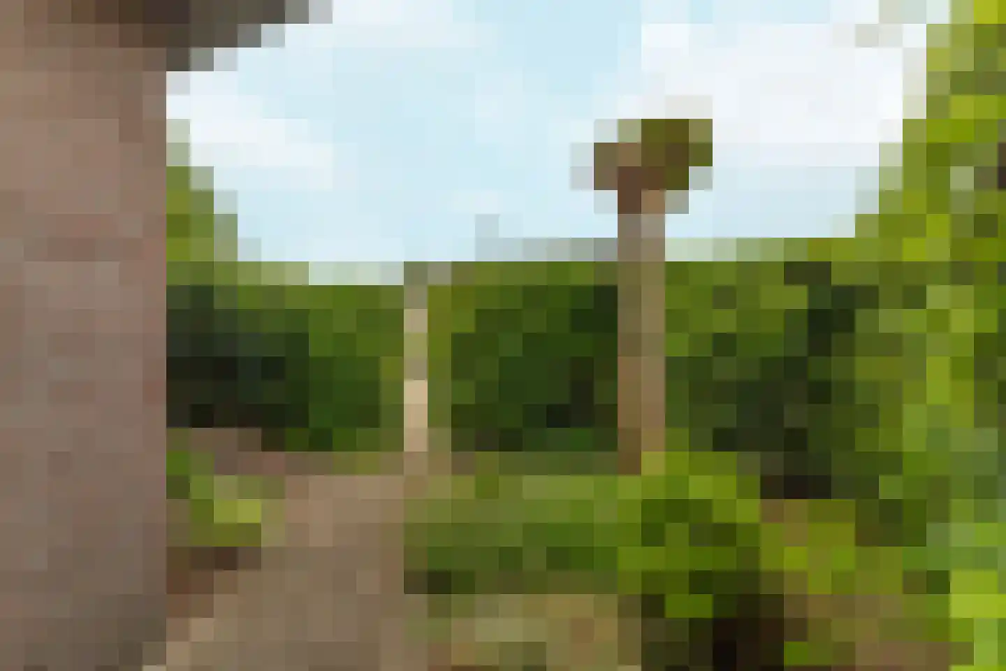 de Vlashegge 36 Dieren thumbnail 36