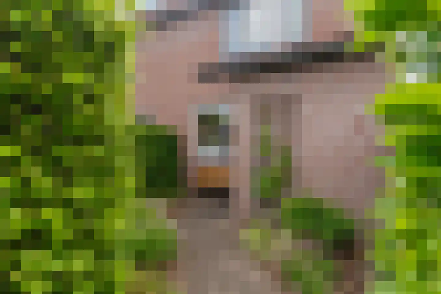 de Vlashegge 36 Dieren thumbnail 37