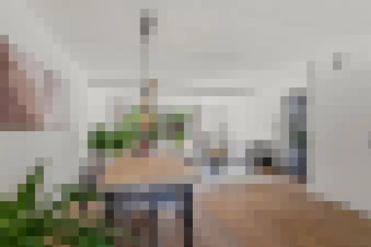de Vlashegge 36 Dieren thumbnail 8