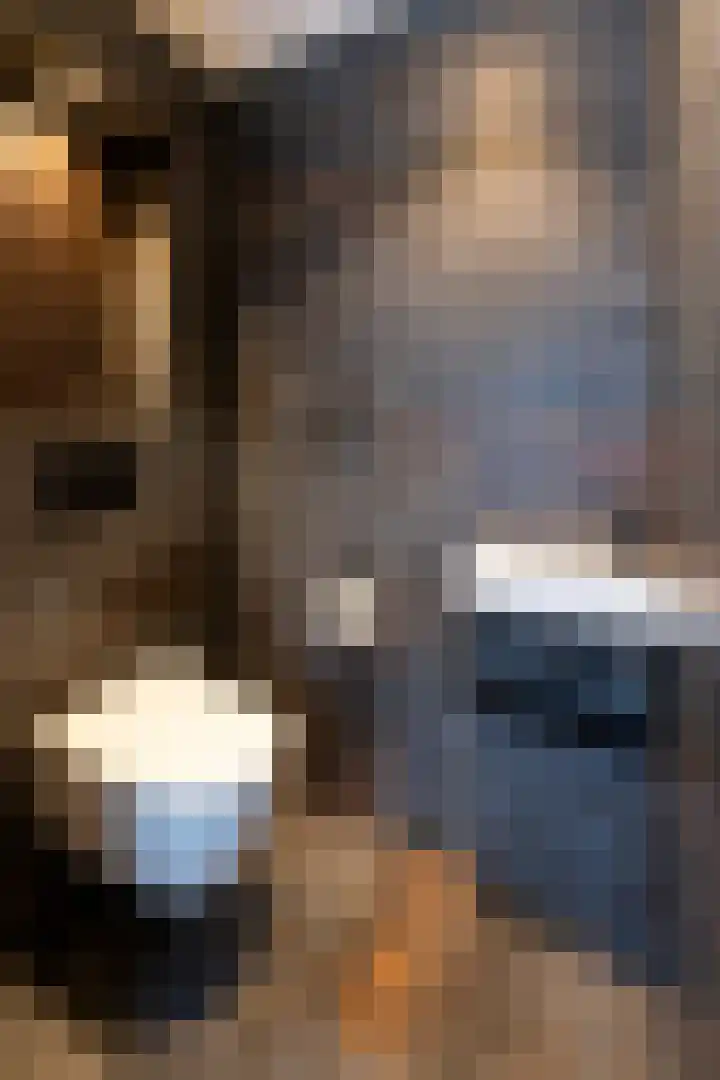 de Vlashegge 59 Dieren thumbnail 10