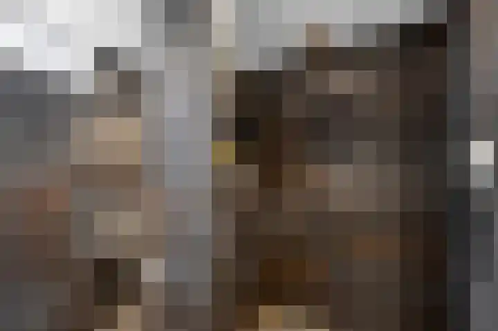 de Vlashegge 59 Dieren thumbnail 16