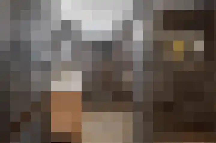 de Vlashegge 59 Dieren thumbnail 17