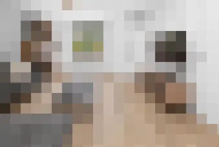 de Vlashegge 59 Dieren thumbnail 5