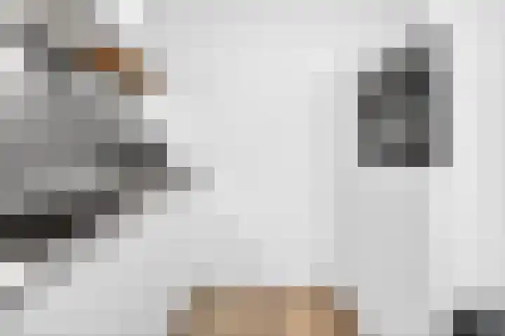 de Vlashegge 59 Dieren thumbnail 9