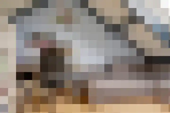 de Vlashegge 60 Dieren thumbnail 23