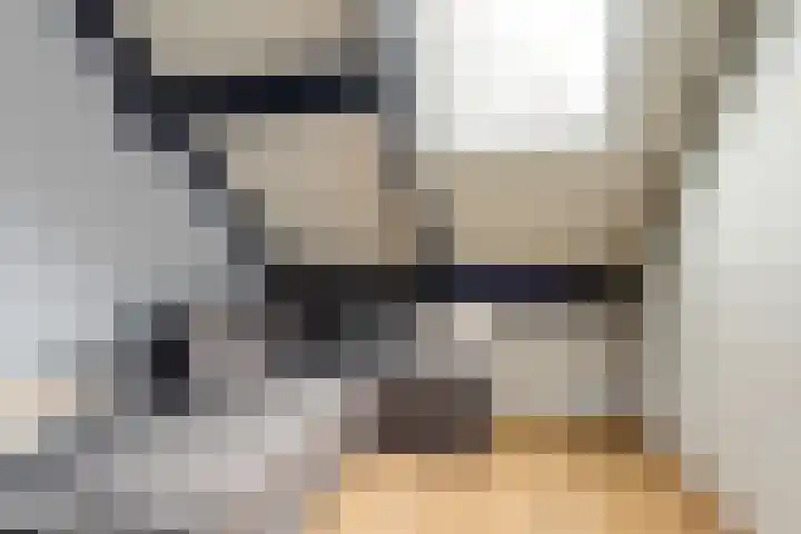 de Vlashegge 60 Dieren thumbnail 24