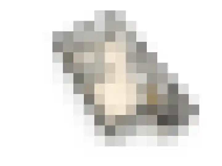 de Vlashegge 60 Dieren thumbnail 32