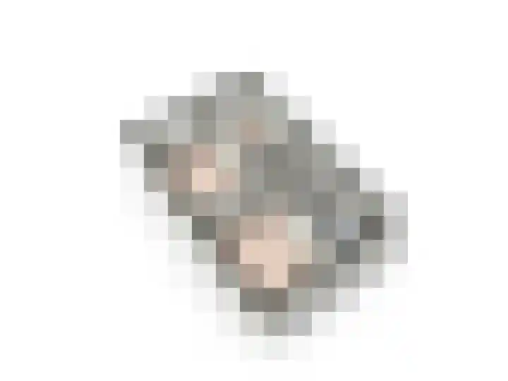 de Vlashegge 60 Dieren thumbnail 34