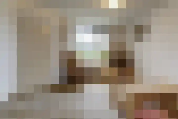 de Vlashegge 60 Dieren thumbnail 4
