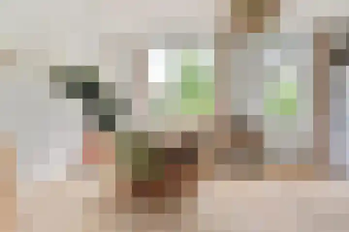 de Vlashegge 86 Dieren thumbnail 11