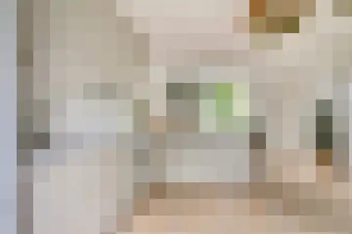 de Vlashegge 86 Dieren thumbnail 12