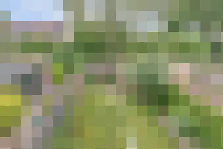 de Vlashegge 86 Dieren thumbnail 32
