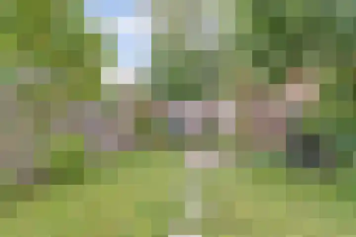 de Vlashegge 86 Dieren thumbnail 33