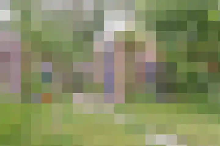 de Vlashegge 86 Dieren thumbnail 34