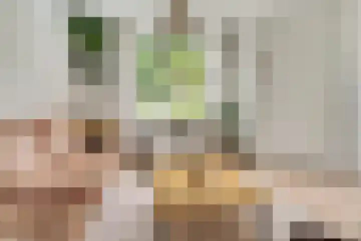 de Vlashegge 86 Dieren thumbnail 5