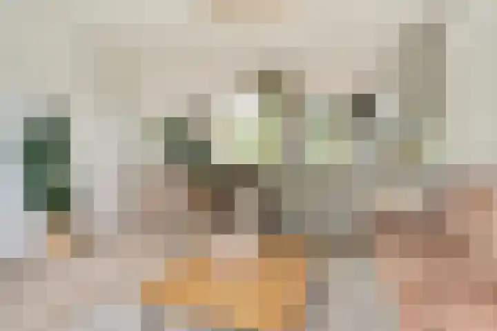 de Vlashegge 86 Dieren thumbnail 7