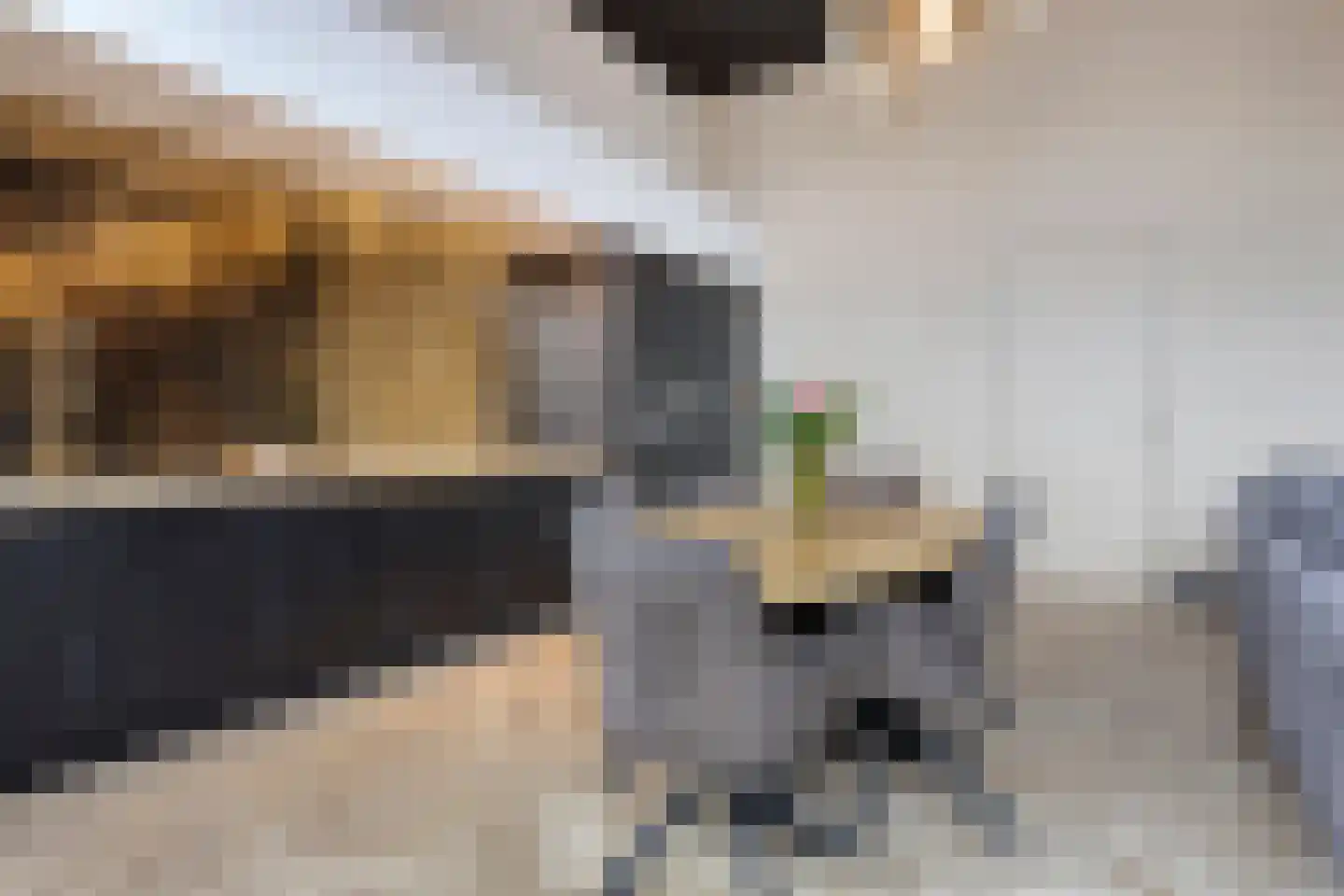 de Vlashoeck 23 Bergschenhoek thumbnail 10