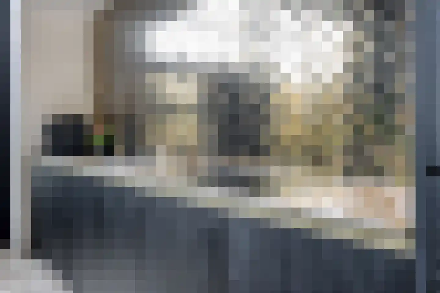 de Vlashoeck 23 Bergschenhoek thumbnail 11