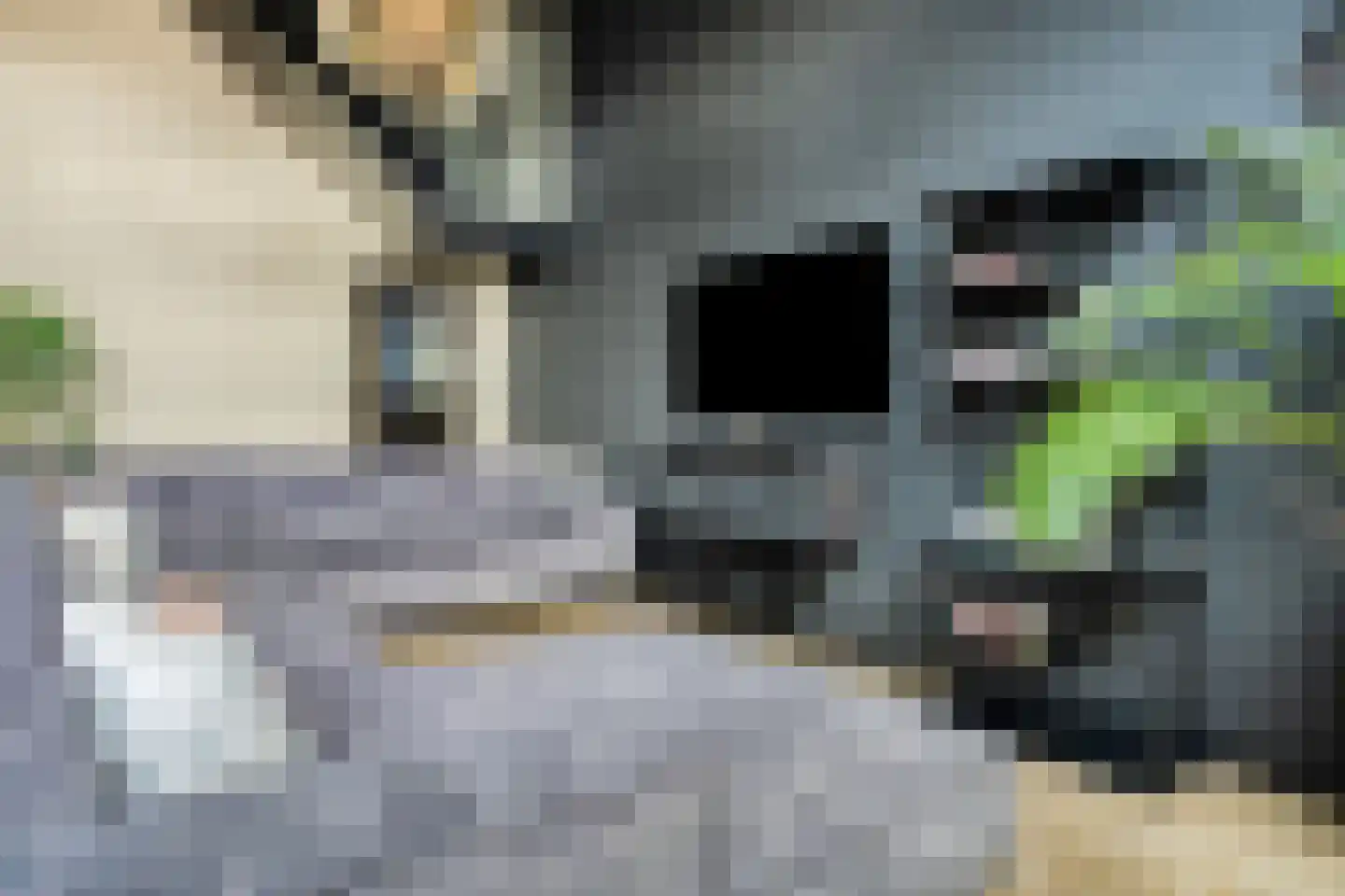 de Vlashoeck 23 Bergschenhoek thumbnail 15