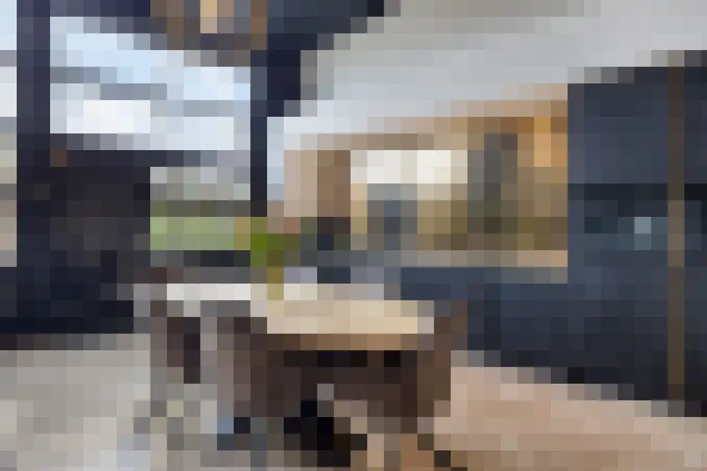 de Vlashoeck 23 Bergschenhoek thumbnail 17