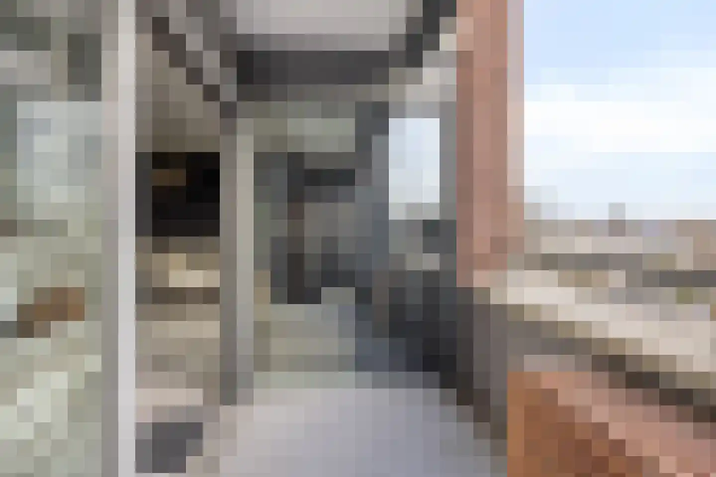 de Vlashoeck 23 Bergschenhoek thumbnail 17